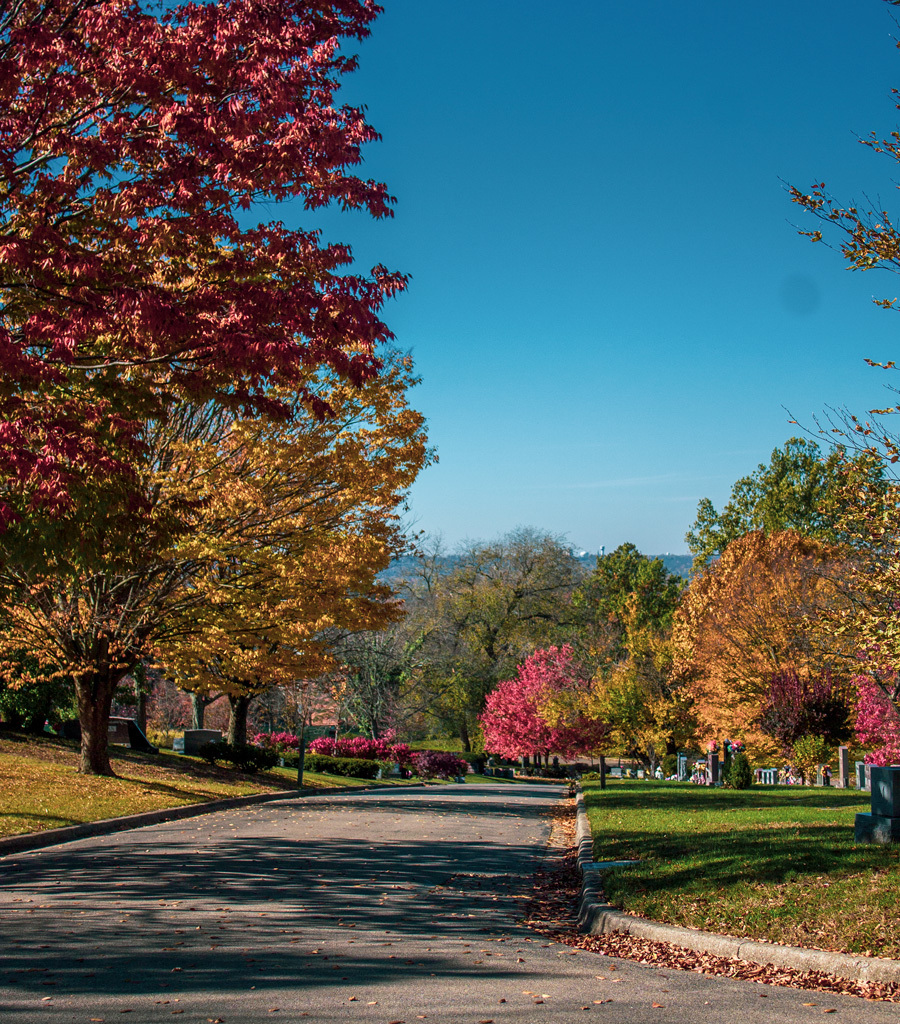 roadway in cemetery during fall